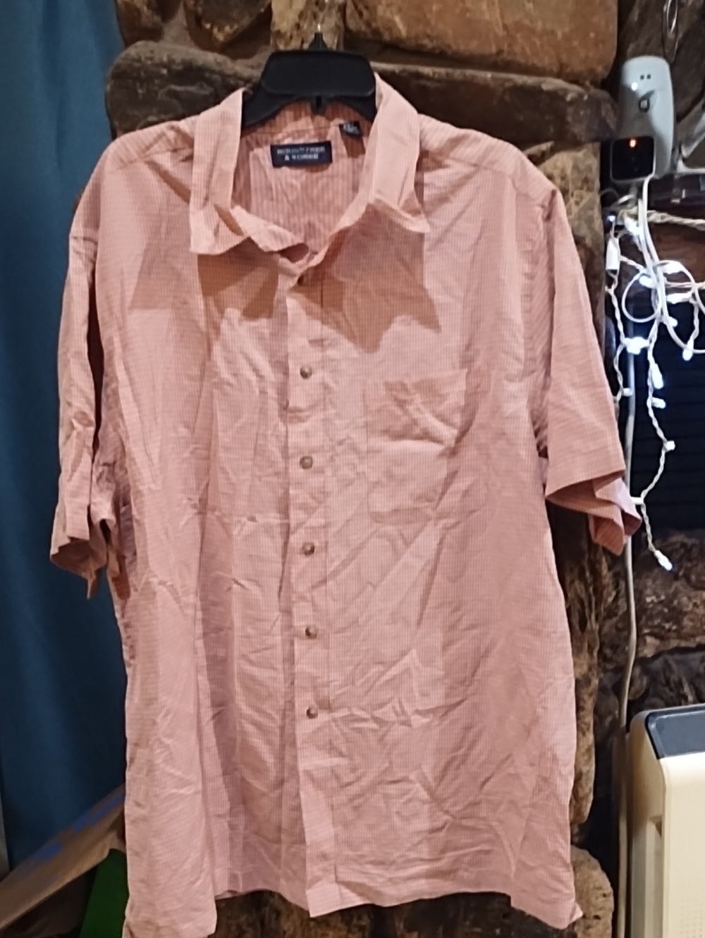 Round Tree & Yorke  Pink & Blue Short-Sleeve Button-Down Shirt